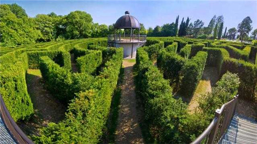 迷宮制造者腦子里在想什么？