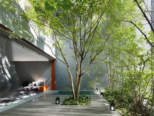 日式園林中樹的氣場