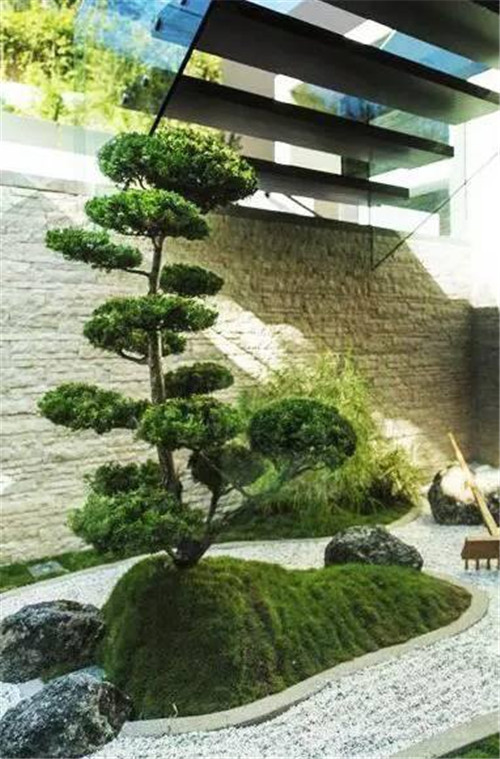 日式園林中樹的氣場