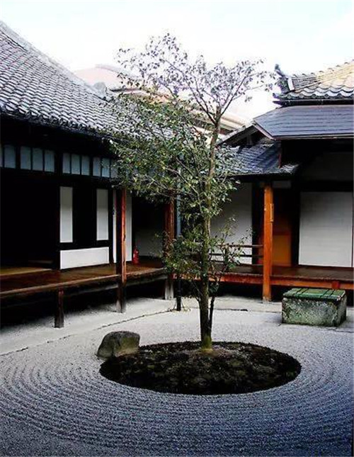 日式園林中樹的氣場