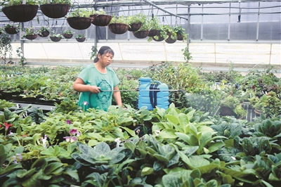 國家基因庫仙湖植物園活體庫揭牌