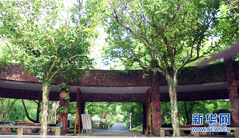 航拍海口石山火山群國家地質公園 