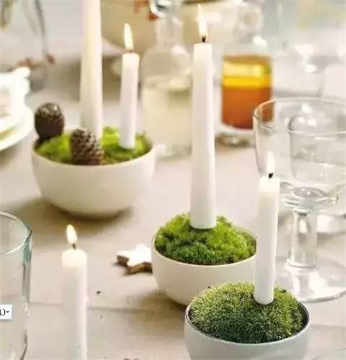 放上這些綠植,讓整個家清新又活力