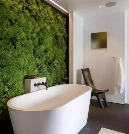 放上這些綠植,讓整個家清新又活力