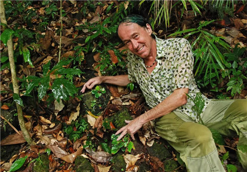 從雨林崖壁到城市綠洲 盧浮宮旁的垂直花園
