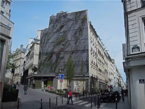 從雨林崖壁到城市綠洲 盧浮宮旁的垂直花園