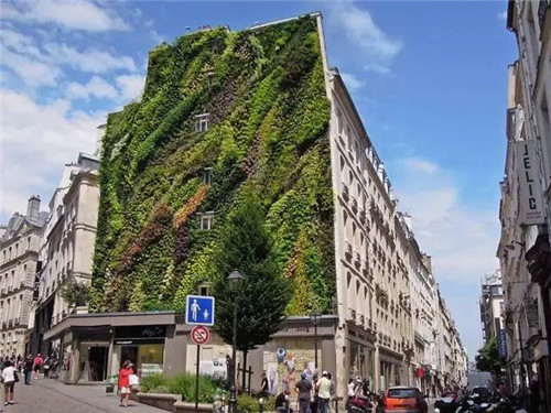 從雨林崖壁到城市綠洲 盧浮宮旁的垂直花園