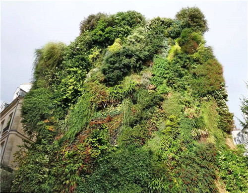 從雨林崖壁到城市綠洲 盧浮宮旁的垂直花園