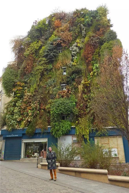 從雨林崖壁到城市綠洲 盧浮宮旁的垂直花園
