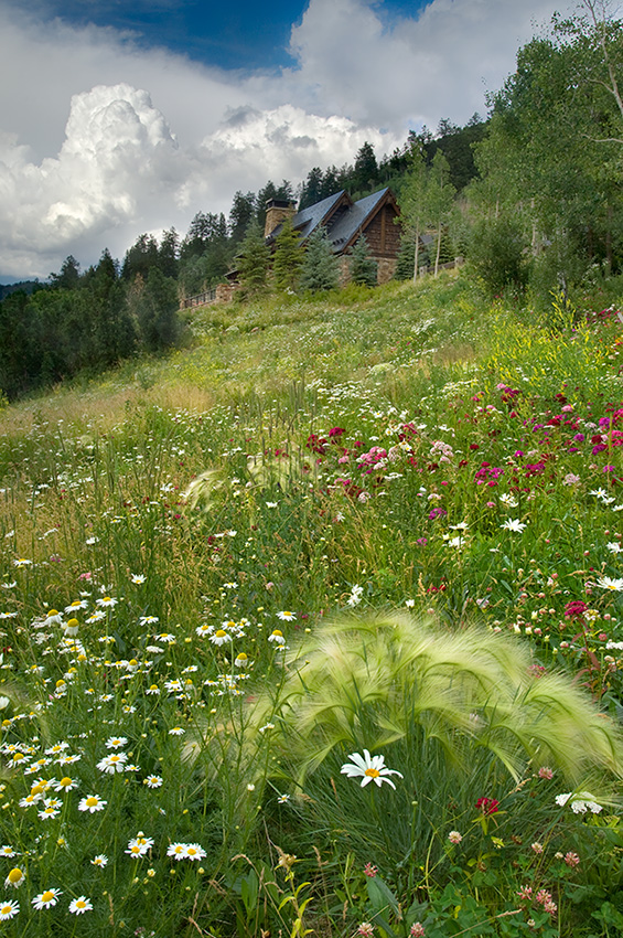 美國(guó)科羅拉多州木溪花園