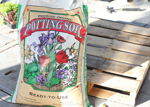 你也可以自己動手打造一個微型垂直花園