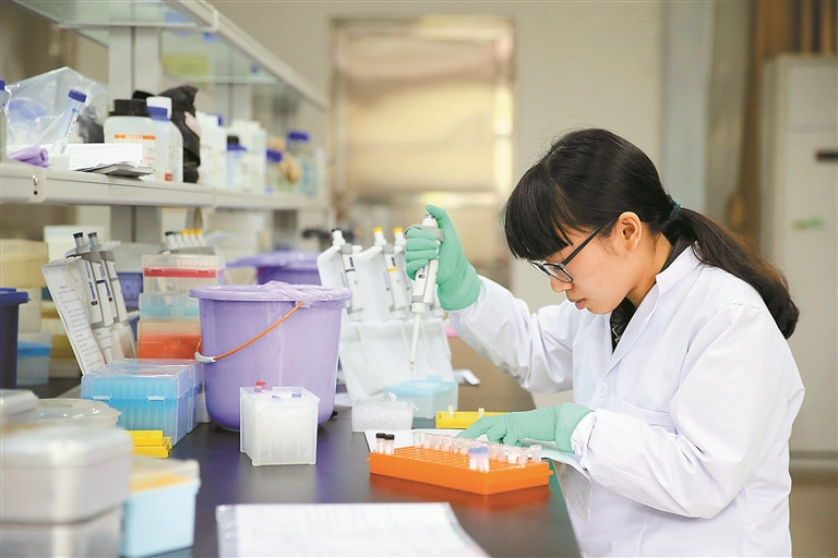 世界蘭科植物保護研究有了“深圳模式”