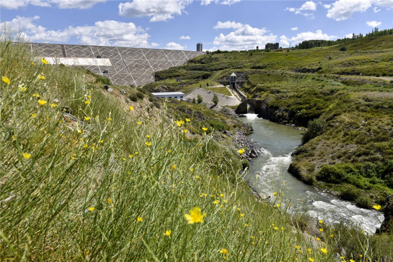 新疆塔城加快修復庫魯斯臺草原生態(tài)