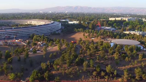 蘋果新總部綠化工作依舊不容樂觀