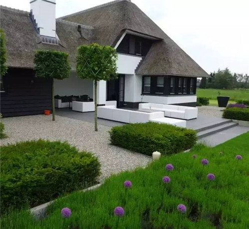 出乎意料的植物景觀