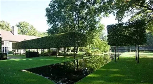 出乎意料的植物景觀