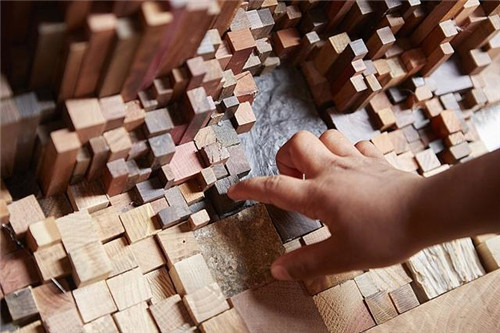 已滅絕或瀕臨沒絕的樹木樣本的裝置藝術