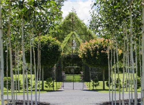 令人吃驚的植物景觀:一棟用樹種出的房子