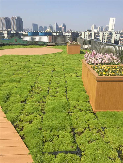 寧波為公建綠化出臺新政 新建筑綠化是標(biāo)配