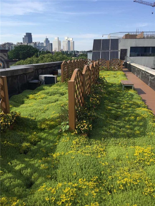 寧波為公建綠化出臺新政 新建筑綠化是標(biāo)配