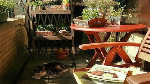 五款陽臺花架,讓室內綠植更自由