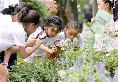 中國園林博物館推出夜宿體驗活動