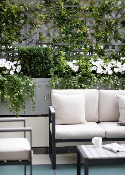 利用格子架打造完美花園的八個(gè)妙招