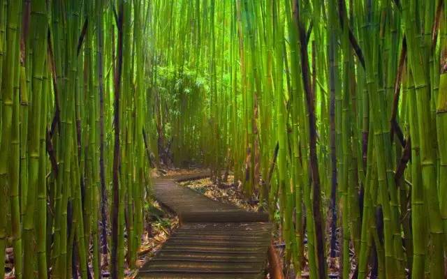 景觀設計中的風水常識