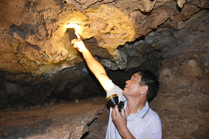 廣東陽春崆峒巖景區(qū)發(fā)現(xiàn)疑似動植物化石