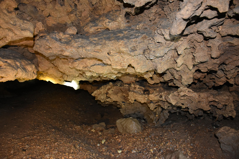 廣東陽春崆峒巖景區(qū)發(fā)現(xiàn)疑似動植物化石