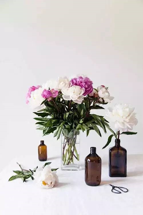 花藝、插花和花道之間的區別