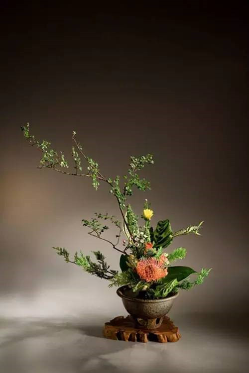 花藝、插花和花道之間的區別