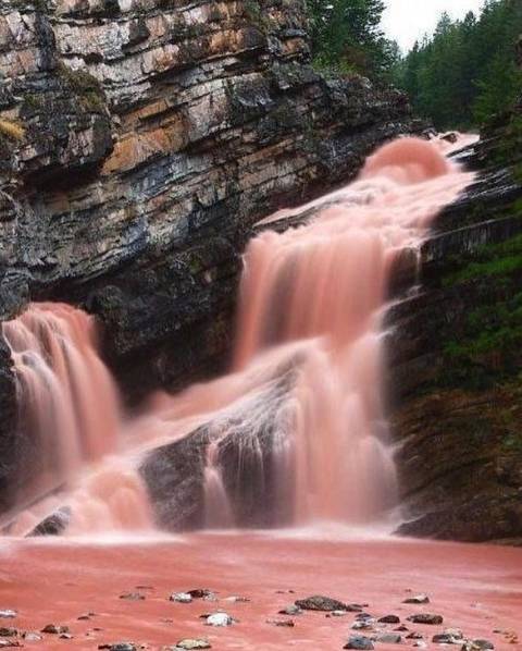這座國家公園里有條粉色的瀑布