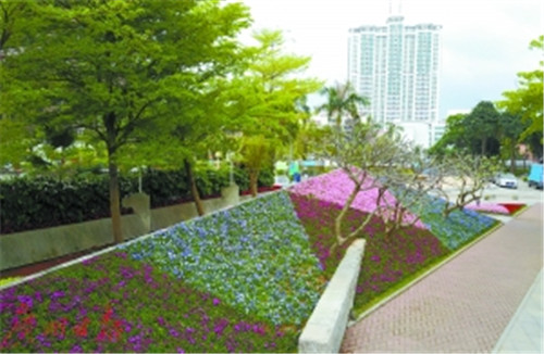 立體綠化讓城市變“田園”?