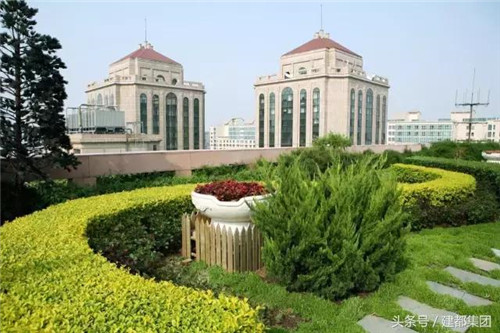 屋頂綠化防水技術幾大要點