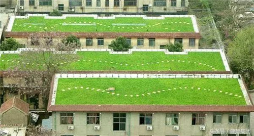 屋頂綠化防水技術幾大要點