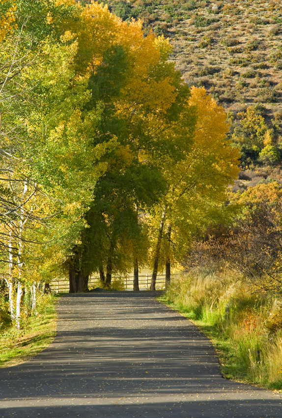 美國科羅拉多州紅峰牧場
