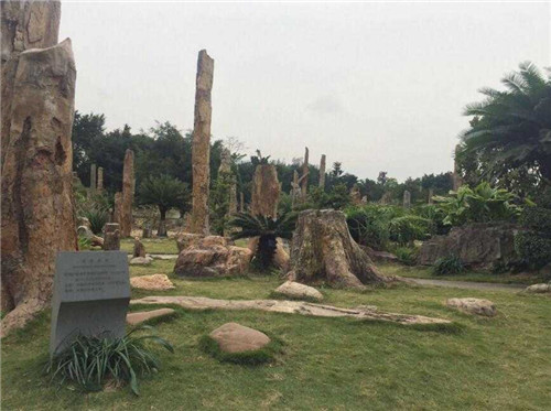 仙湖植物園是中國觀賞植物研究的重要基地