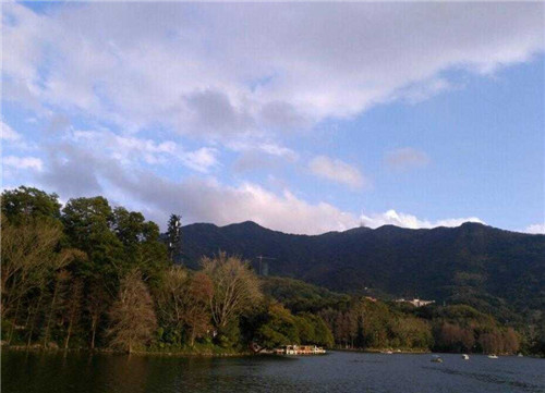 仙湖植物園是中國觀賞植物研究的重要基地