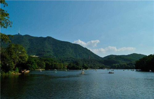 仙湖植物園是中國觀賞植物研究的重要基地