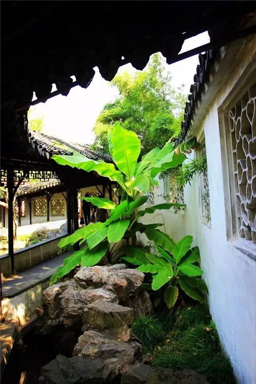 歷數七大中國古典園林植物