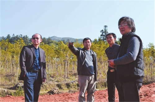 福建農林大學謝祥財教授的“實驗田”