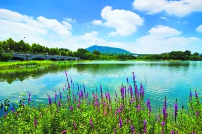 合肥高新區:蜀峰灣等公園增設景觀燈飾