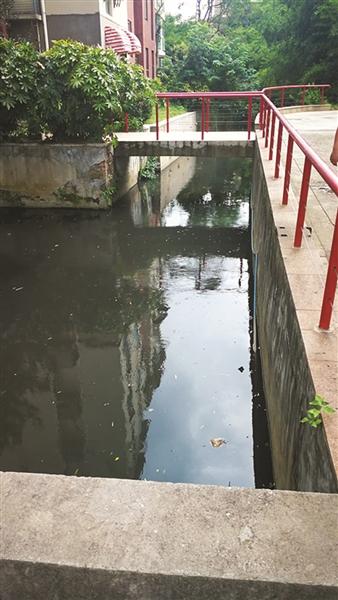 奇怪,南京小區(qū)景觀河一夜間又黑又臭