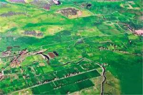 航拍張掖大濕地 半城蘆葦半城碧