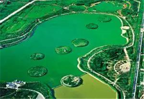 航拍張掖大濕地 半城蘆葦半城碧