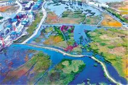 航拍張掖大濕地 半城蘆葦半城碧