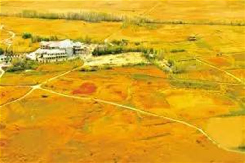 航拍張掖大濕地 半城蘆葦半城碧