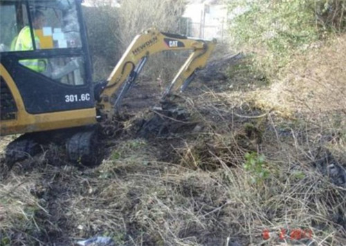 英國(guó)78歲老太7年將廢棄沼地改成“仙境”