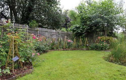 英國(guó)78歲老太7年將廢棄沼地改成“仙境”